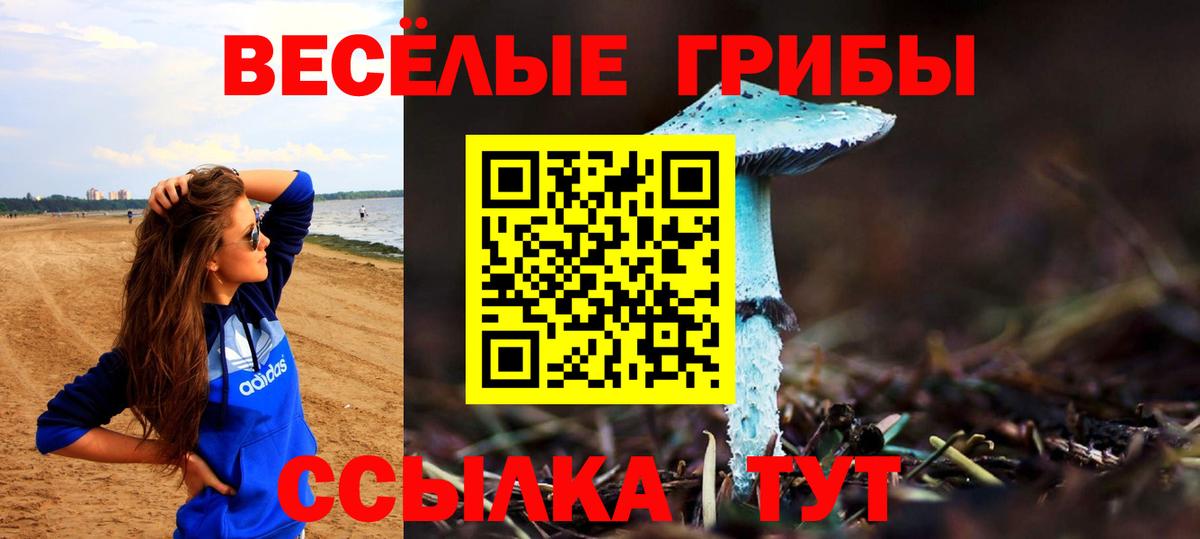 Галлюциногенные грибы ЛСД  Вход с VPN  Фролово 